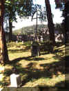 Obecny wygld wntrza cmentarza. Lato 2001 r.