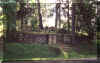 Widok oglny cmentarza z drogi. Lato 2001 r.